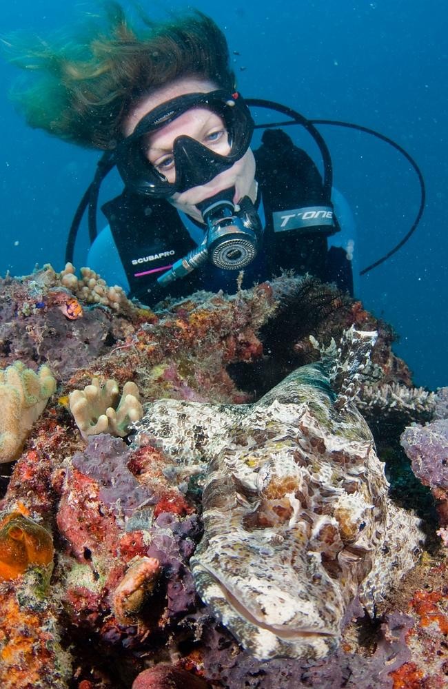 Khám phá những rặng san hô tuyệt đẹp dưới lòng biển là trải nghiệm khó quên của du khách.