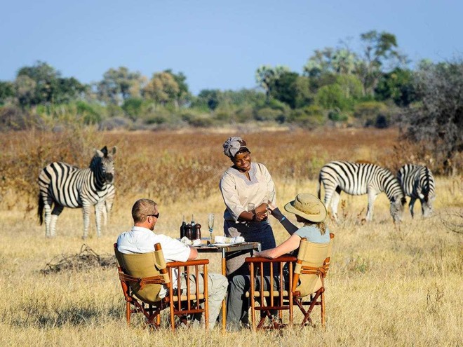 Ăn sáng và ngắm ngựa vằn ở khu trại Little Mombo, đồng bằng Okavango, Botswana. Little Mombo cũng được tạp chí Travel + Leisure đánh giá là khách sạn tuyệt nhất thế giới. 