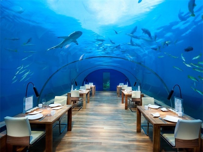 10 nhà hàng, khách sạn dưới nước ấn tượng nhất thế giới
