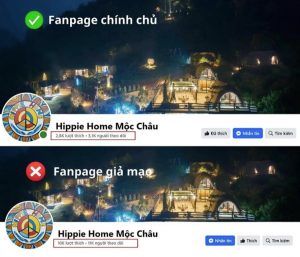Các trang web có giao diện tương tự với những thương hiệu uy tín