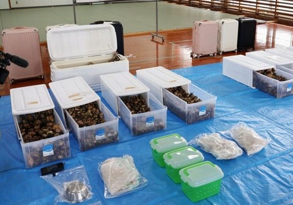 Vali của khách ở khách sạn có âm thanh lạ, bên trong rất bất ngờ