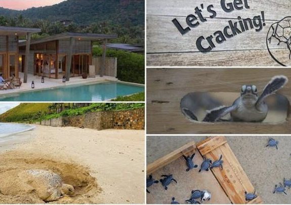 Khu nghỉ dưỡng cao cấp Six Senses Côn Đảo vừa giành được Giải thưởng Khách sạn bền vững