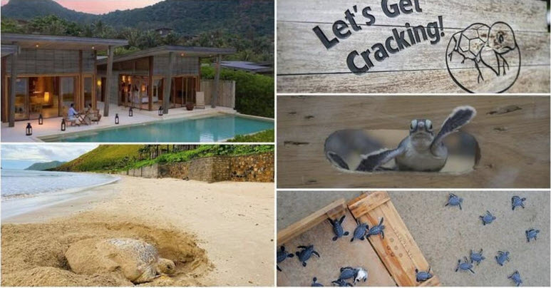 Khu nghỉ dưỡng cao cấp Six Senses Côn Đảo vừa giành được Giải thưởng Khách sạn bền vững